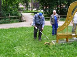 Freischneiden im Steinwaypark